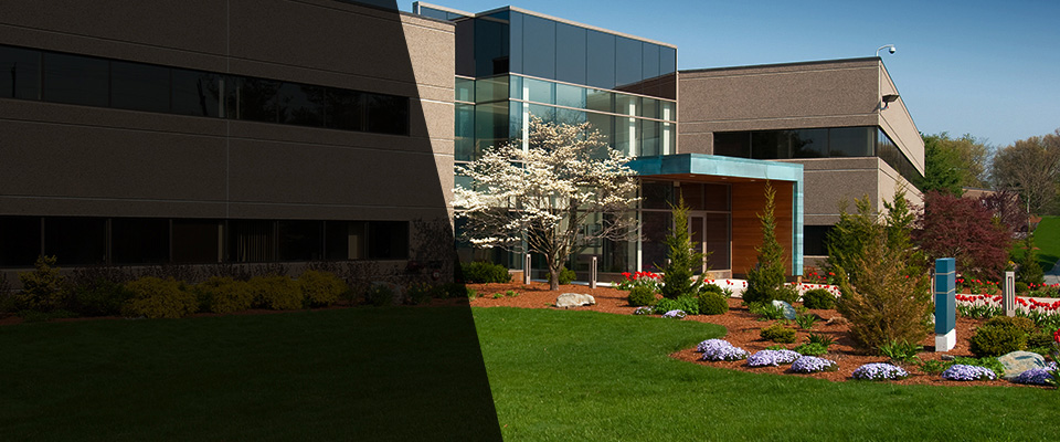 Silverdale Landscapers