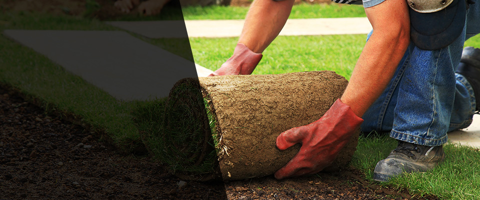 Silverdale Landscapers